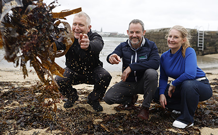 Biodiversity project could restore native oyster reefs to Dublin Bay